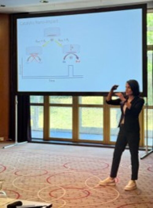 28.05.2026 Mahnaz Presentation