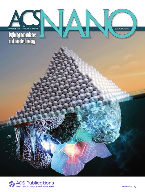 02.09.2026 ancac3.2026.20.issue